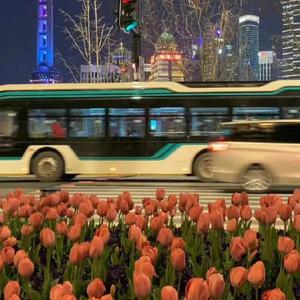 男男doi攻🌿的巨猛受受网站
